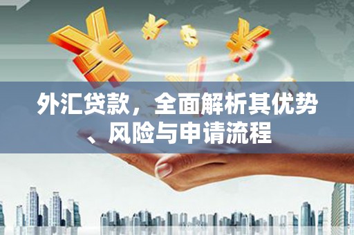塘厦外汇贷款，全面解析其优势、风险与申请流程