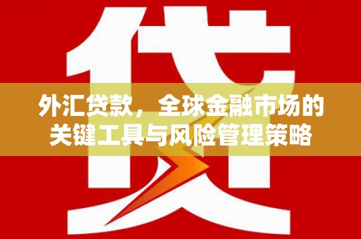 塘厦外汇贷款，全球金融市场的关键工具与风险管理策略