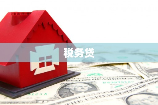 塘厦税务贷