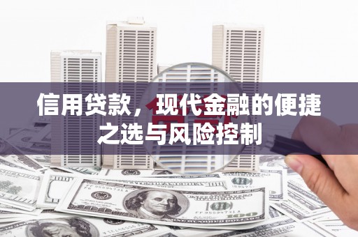 塘厦信用贷款，现代金融的便捷之选与风险控制