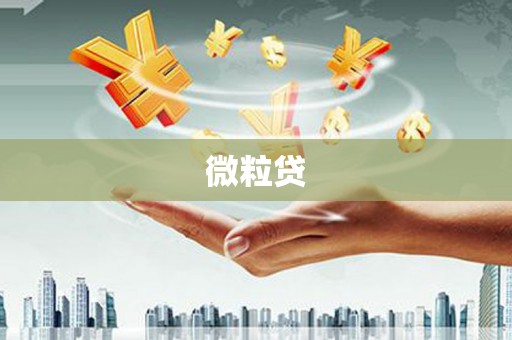 塘厦微粒贷