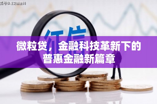 塘厦微粒贷，金融科技革新下的普惠金融新篇章