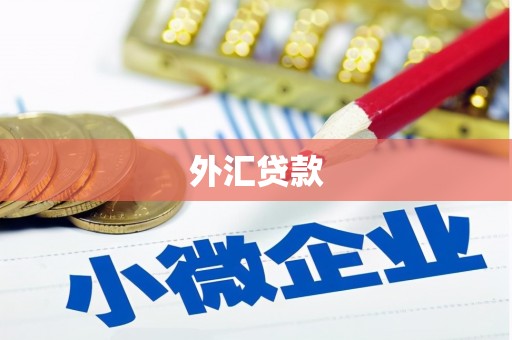塘厦外汇贷款