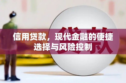 塘厦信用贷款，现代金融的便捷选择与风险控制