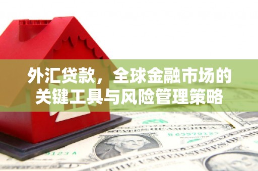 塘厦外汇贷款，全球金融市场的关键工具与风险管理策略