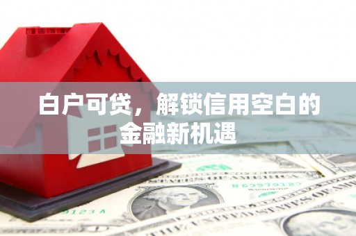 塘厦白户可贷，解锁信用空白的金融新机遇