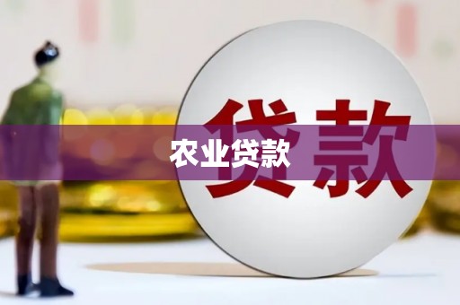 塘厦农业贷款