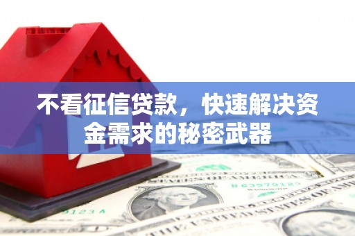 塘厦不看征信贷款，快速解决资金需求的秘密武器