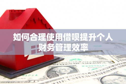 塘厦如何合理使用借呗提升个人财务管理效率