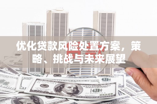 塘厦优化贷款风险处置方案，策略、挑战与未来展望