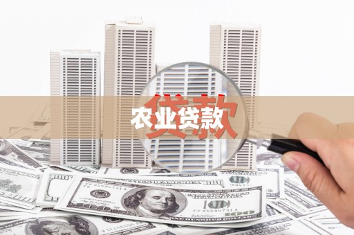 塘厦农业贷款