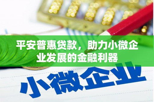 塘厦平安普惠贷款，助力小微企业发展的金融利器