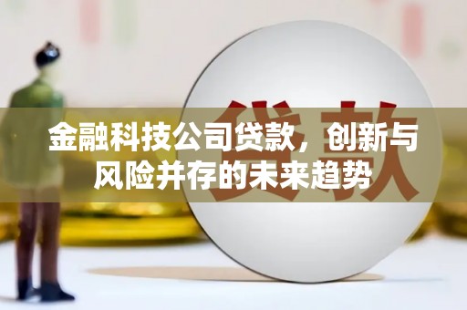 塘厦金融科技公司贷款，创新与风险并存的未来趋势