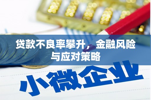 塘厦贷款不良率攀升，金融风险与应对策略