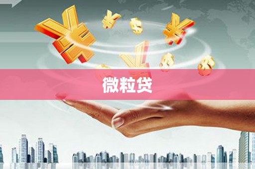 塘厦微粒贷