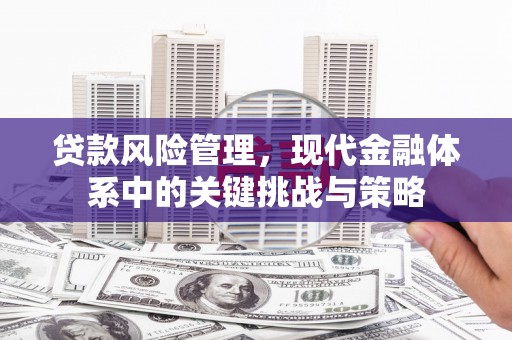 塘厦贷款风险管理，现代金融体系中的关键挑战与策略