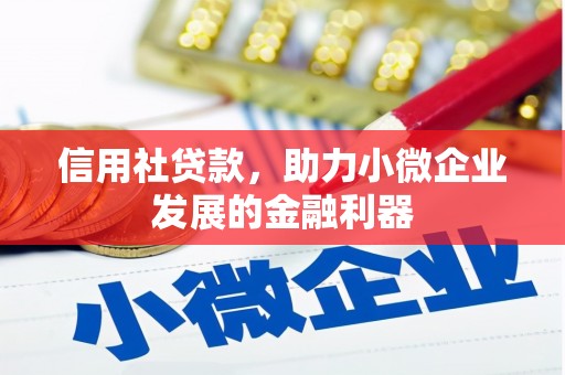 塘厦信用社贷款，助力小微企业发展的金融利器