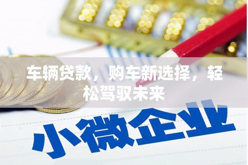 塘厦车辆贷款，购车新选择，轻松驾驭未来