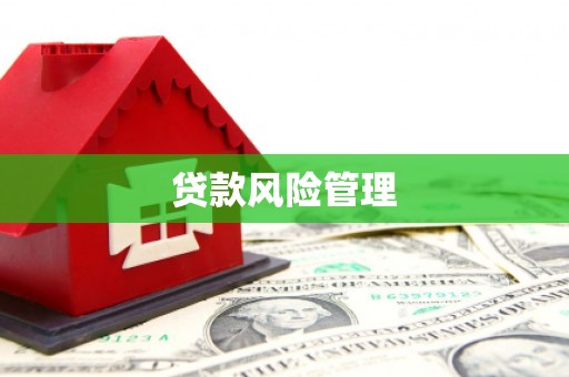 塘厦贷款风险管理