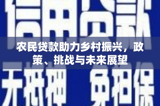 塘厦农民贷款助力乡村振兴，政策、挑战与未来展望