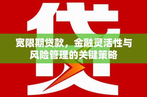 塘厦宽限期贷款，金融灵活性与风险管理的关键策略