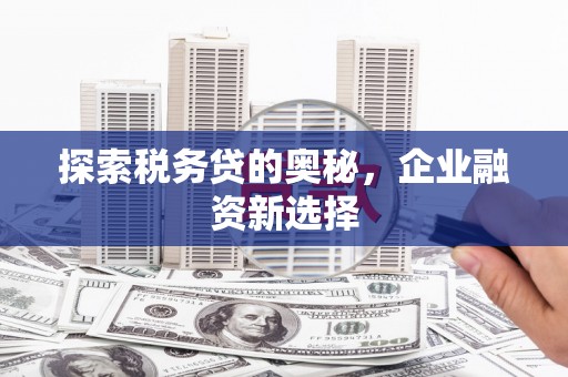 塘厦探索税务贷的奥秘，企业融资新选择