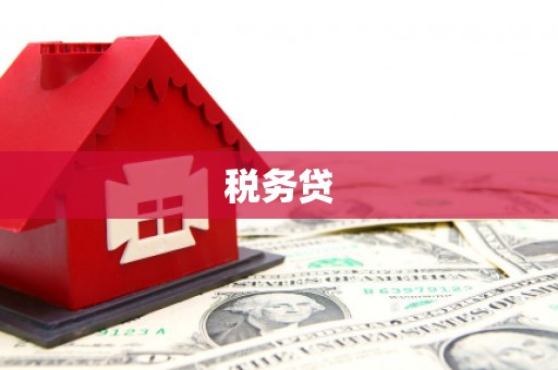 塘厦税务贷