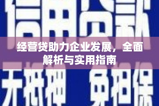 塘厦经营贷助力企业发展，全面解析与实用指南
