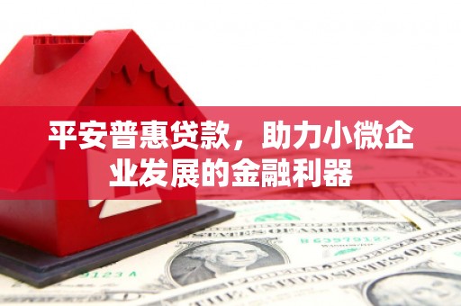 塘厦平安普惠贷款，助力小微企业发展的金融利器