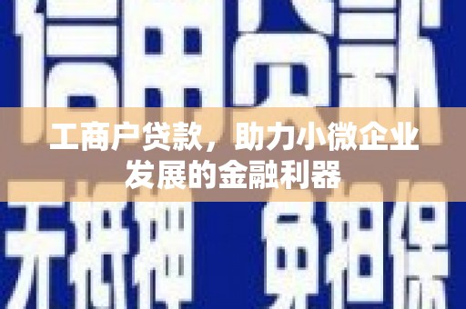 塘厦工商户贷款，助力小微企业发展的金融利器