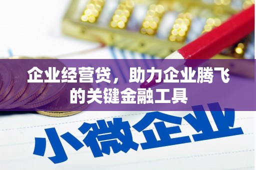 塘厦企业经营贷，助力企业腾飞的关键金融工具