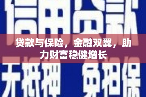 塘厦贷款与保险，金融双翼，助力财富稳健增长
