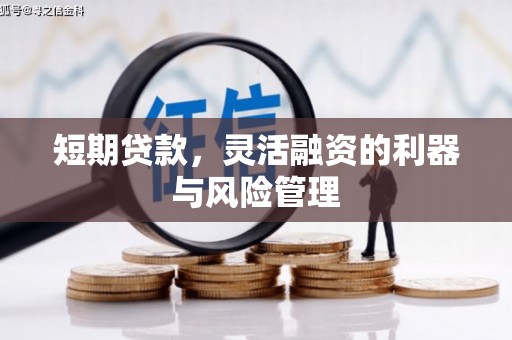 塘厦短期贷款，灵活融资的利器与风险管理