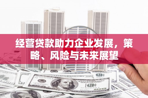 塘厦经营贷款助力企业发展，策略、风险与未来展望