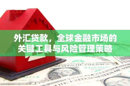 塘厦外汇贷款，全球金融市场的关键工具与风险管理策略
