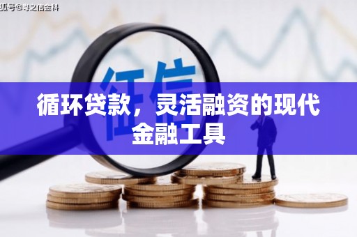 塘厦循环贷款，灵活融资的现代金融工具