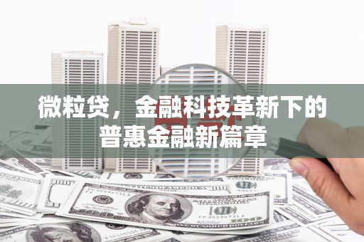 塘厦微粒贷，金融科技革新下的普惠金融新篇章