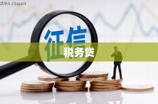 塘厦税务贷