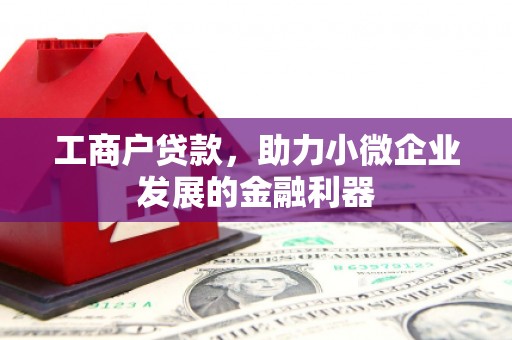 塘厦工商户贷款，助力小微企业发展的金融利器