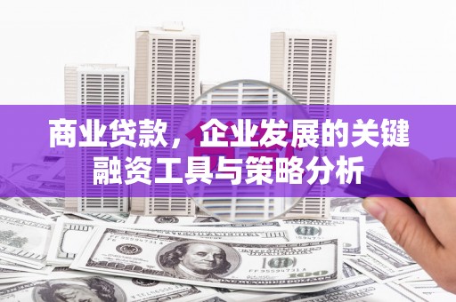 塘厦商业贷款，企业发展的关键融资工具与策略分析