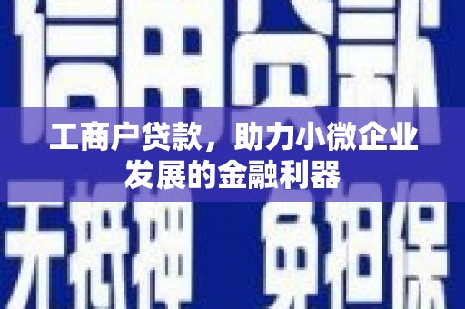 塘厦工商户贷款，助力小微企业发展的金融利器