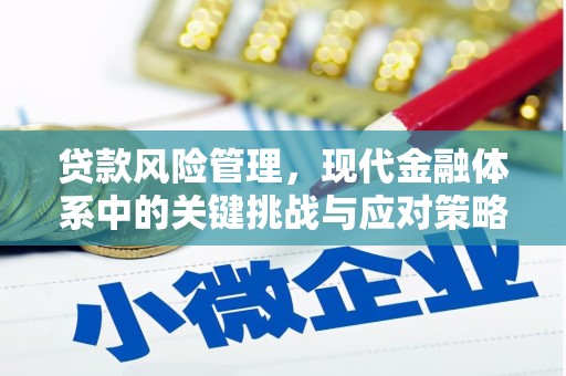 塘厦贷款风险管理，现代金融体系中的关键挑战与应对策略