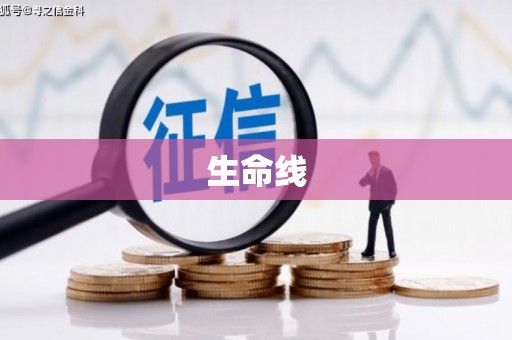 塘厦生命线