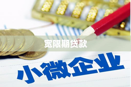塘厦宽限期贷款