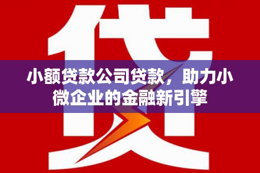 塘厦小额贷款公司贷款，助力小微企业的金融新引擎