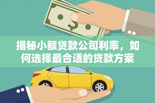 塘厦揭秘小额贷款公司利率，如何选择最合适的贷款方案