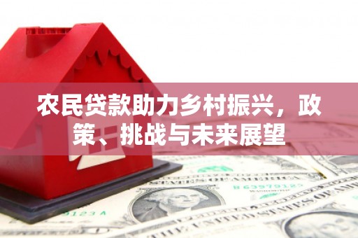 塘厦农民贷款助力乡村振兴，政策、挑战与未来展望