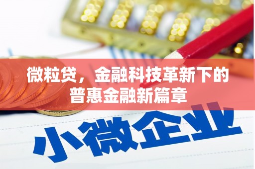 塘厦微粒贷，金融科技革新下的普惠金融新篇章
