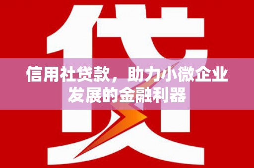 塘厦信用社贷款，助力小微企业发展的金融利器