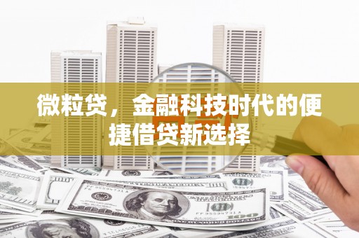 塘厦微粒贷，金融科技时代的便捷借贷新选择